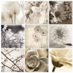 GUARDAS Y FRISOS MOSAICO  PIU BLACK FLOWER  30-30-